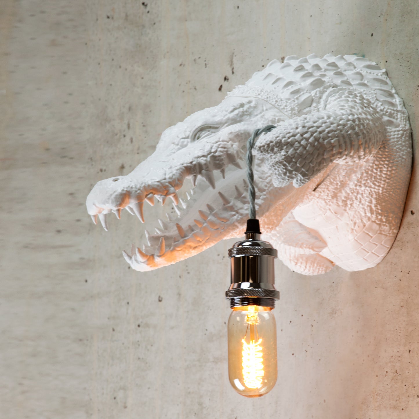White Alligator Head Lamp - Unique Rustic Decor, Kids Night Light, Animal Wall Accent